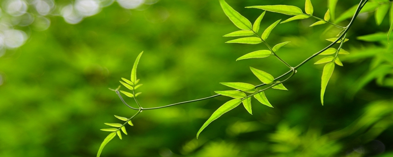 手机号码尾数多少好 数字9有满意之象