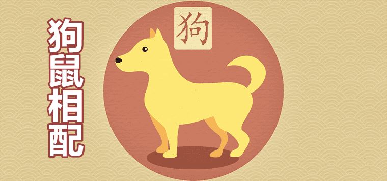 Will there be a good result for male 94 dog female 96 rat marriage?