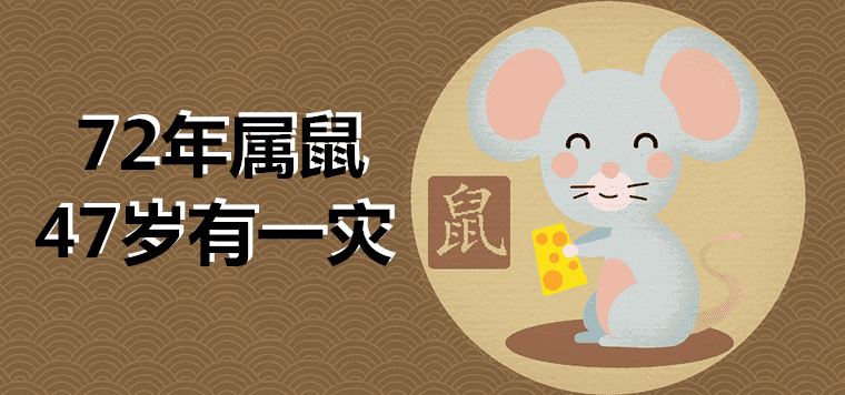 Is it true that the 72-year-old rat has a disaster at the age of 47