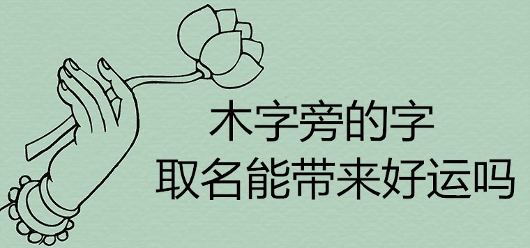 나무 캐릭터 옆에 운이 좋고 밝은 캐릭터의 이름이 행운을 가져다줄 수 있나요?