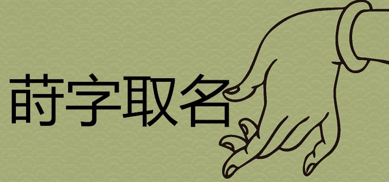 蛳 문자 이름의 의미는 무엇입니까
