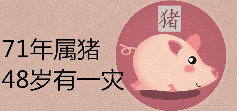 71년 돼지띠는 48년, 재난이 있다