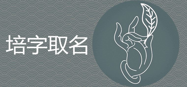 페이지 이름은 행운을 의미합니다