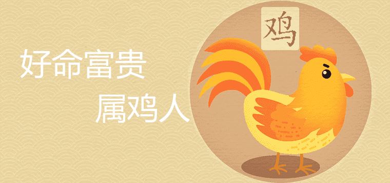 The rooster is born in a few months, good luck and wealth