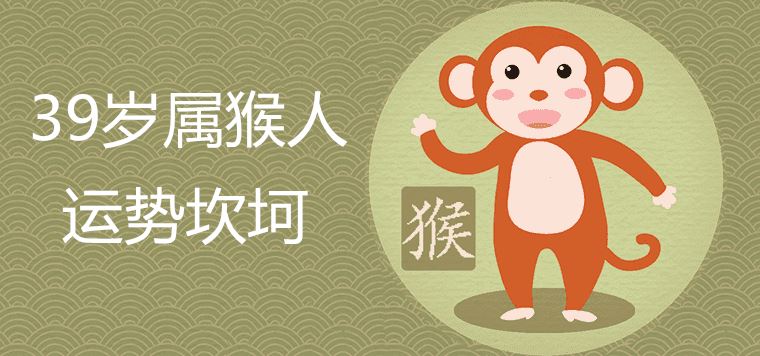 Why the 39-year-old fortune of the monkey is bumpy
