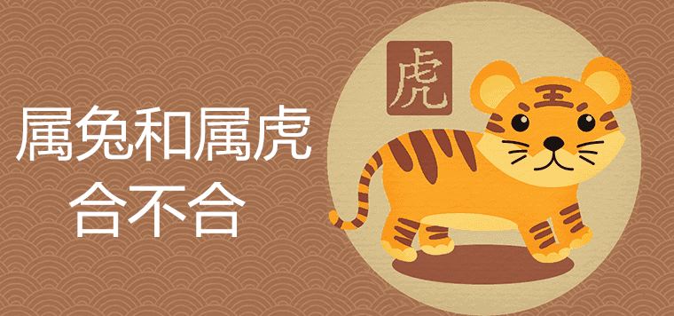 The compatibility of rabbit and tiger