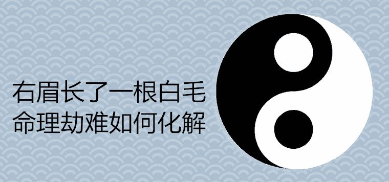 오른쪽 눈썹에 흰 머리카락이 자랍니다.수비학 재앙을 해결하는 방법