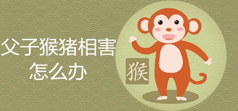 What should I do if the father and the son, the monkey and the pig harm each other
