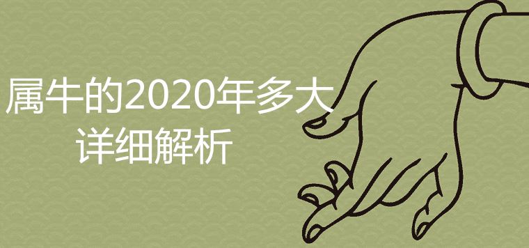 Detailed analysis of the year of the ox in 2020