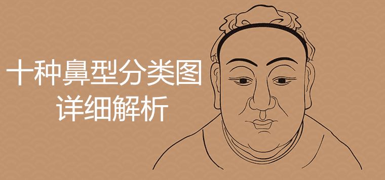 Detailed analysis of ten nose types