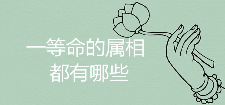 What are the first-order zodiac signs