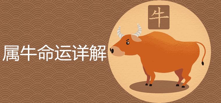How to explain the fate of the ox