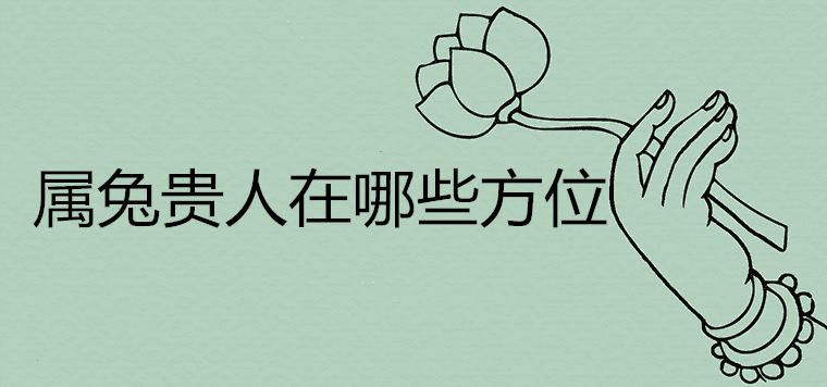 토끼의 귀족은 어디에 있습니까