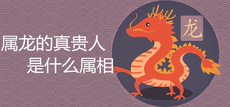 용의 해에 진정으로 고귀한 사람의 별자리는 무엇입니까?