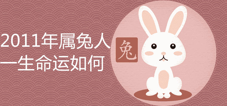 What is the fate of the Rabbit in 2011