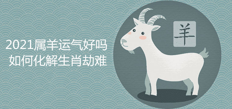 Good luck for the sheep in 2021
