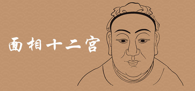 얼굴 특징에 대한 자세한 버전의 조디악 공식