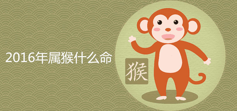 What is the year of the monkey in 2016
