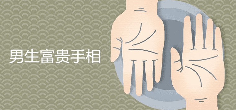 Fugui Palmistry Boys Edition 상세 소개