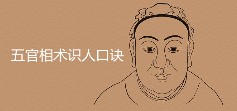 오감 및 표정