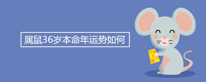 36세 쥐의 운세