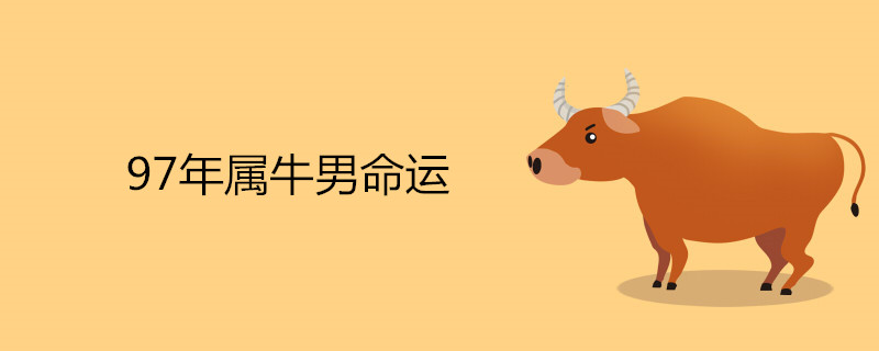 What is the fate of the ox boy in 1997, how is the fortune of 23 years old?