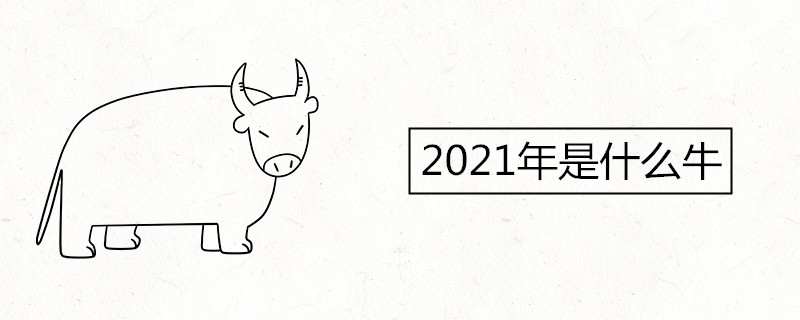 소가 태어난 2021년은 몇 년입니까?