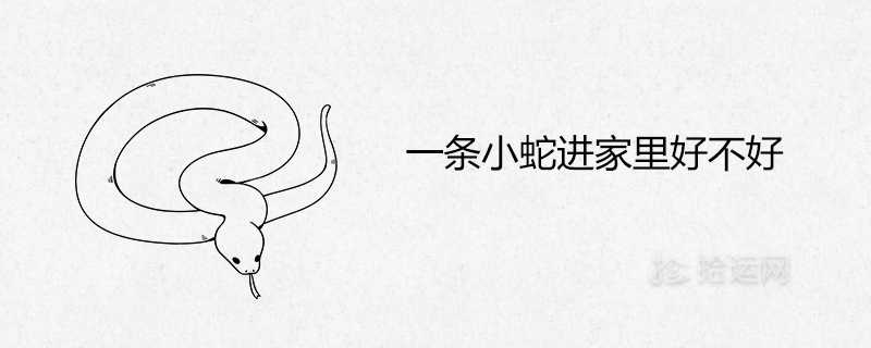작은 뱀이 집에 들어가도 될까요?