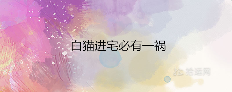 하얀 고양이가 집에 들어오면 재난이 닥친다는 게 사실인가요?