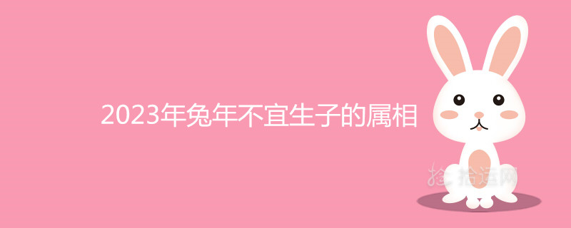 2023 토끼의 해는 아이를 낳기에 적합하지 않습니다