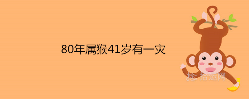 80세 원숭이가 41세에 재난을 당한 것이 사실입니까