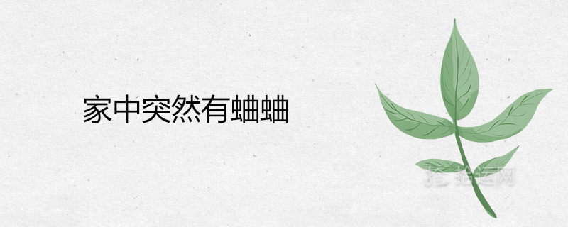 집에 귀뚜라미가 갑자기 생기는 것은 나쁜 징조입니까?