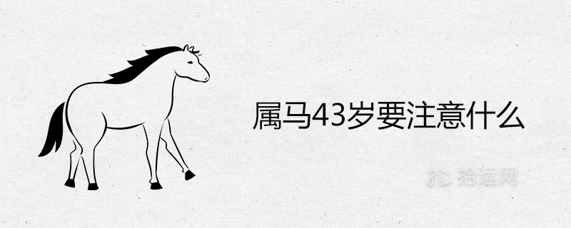 What should you pay attention to when you are a 43-year-old horse