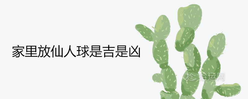 Place cactus at home is good or bad