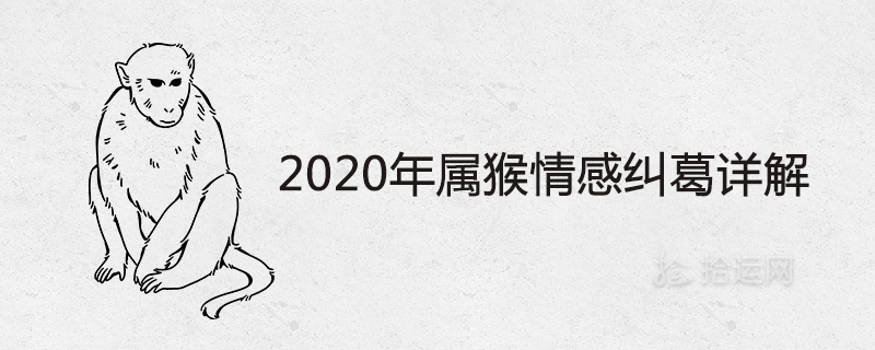 2020년 원숭이띠 해의 감정 얽힘에 대한 자세한 설명