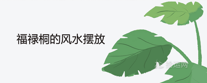 푸루통의 풍수 배치