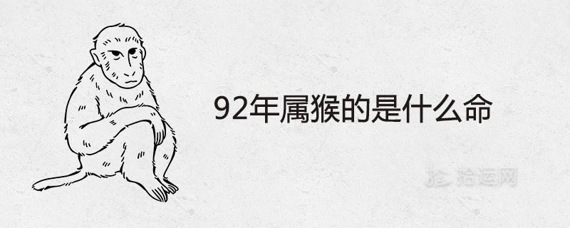 What is the life of the monkey in 1992