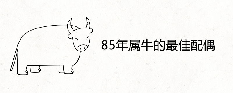 85 Years of the Ox