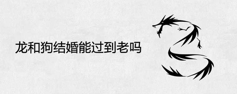 용과 개가 결혼할 수 있습니까?