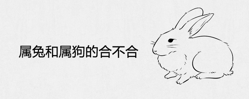 The compatibility of rabbit and dog