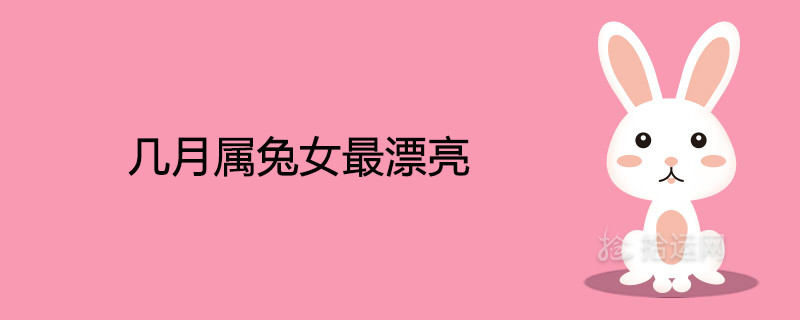 몇 개월은 가장 아름다운 토끼 소녀