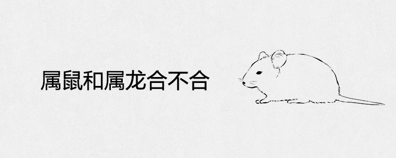 The compatibility of the rat and the dragon