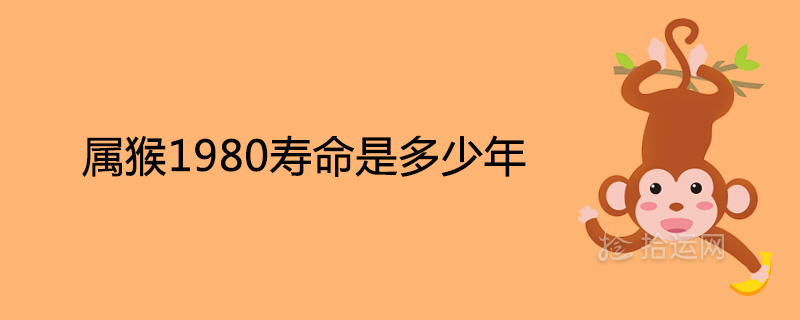 What is the life expectancy of the monkey in 1980
