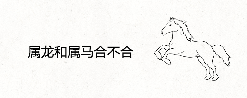 Dragon and Horse are not compatible