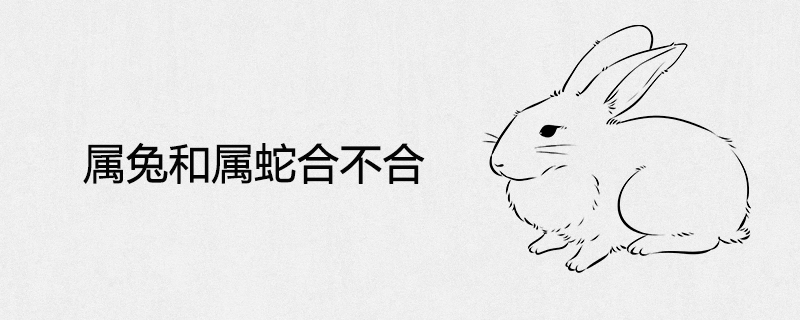 The compatibility of rabbit and snake