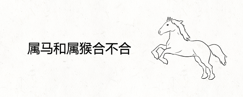 The difference between the horse and the monkey