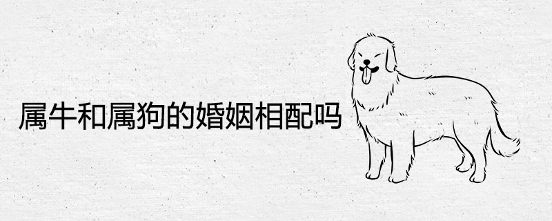 황소와 개는 결혼 생활에서 양립할 수 있습니까?