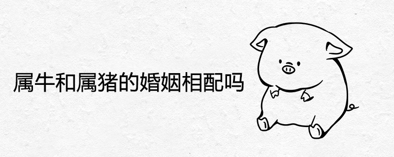 황소와 돼지는 결혼 생활에서 양립할 수 있습니까?