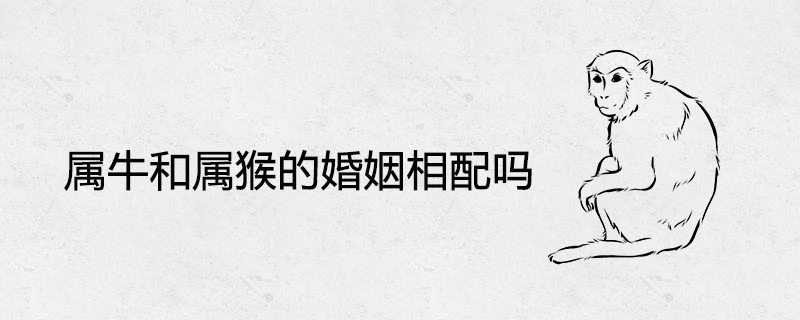 황소와 원숭이는 결혼 생활에서 양립할 수 있습니까?
