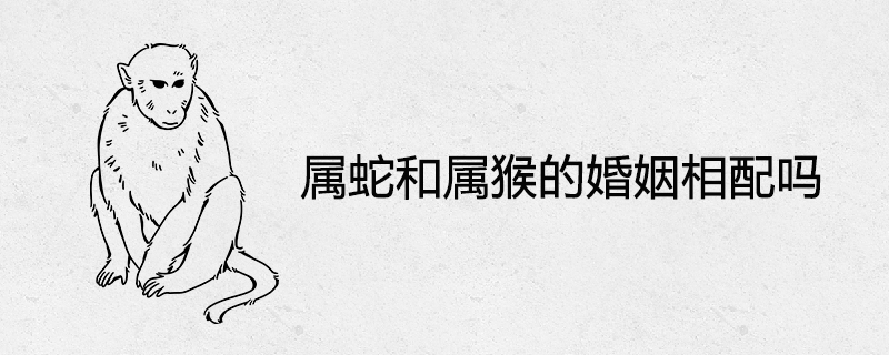 뱀과 원숭이의 결혼이 호환됩니까